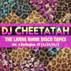 Living Room Disco Tapes Vol. 4 Burlington, VT (4/14/25)