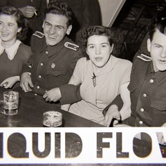 Dj Liquid Flow - Schunkelgroove (2022)