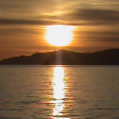 solivagant (prod. av + maestrowons)