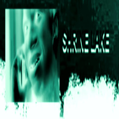 LIL B - LIKE A MARTIAN (Shrine Lake Remix)
