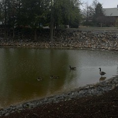 Bipolar (Prod. Ifeel)