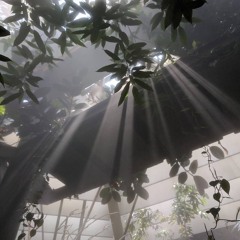 she was never real :(