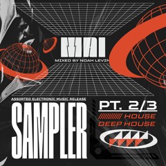 Assorted Electronic Music Releases MAI 2025 Pt. 2/3 // House/ Deep House