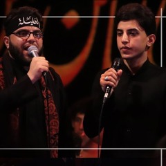 ديوانك حلم كل عاشك | مسلم الوائلي & علي الوائلي