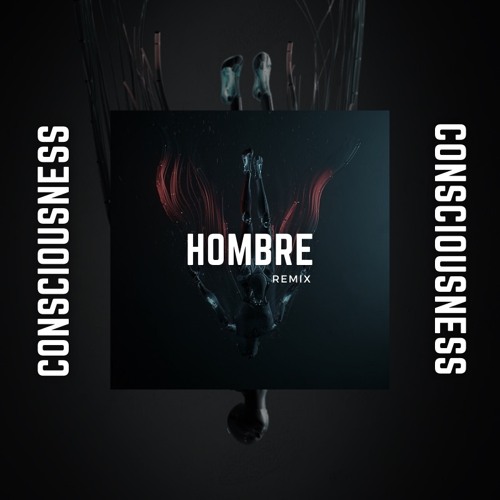 Consciousness (Hombre Remix) - Anyma & Chris Avantgarde