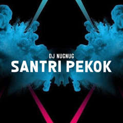 Dj Santri Pekok (Remix)