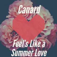Canard - Feel´s Like a Summer Love [165 BPM]