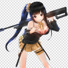 PULL UP WITH GUNS XD