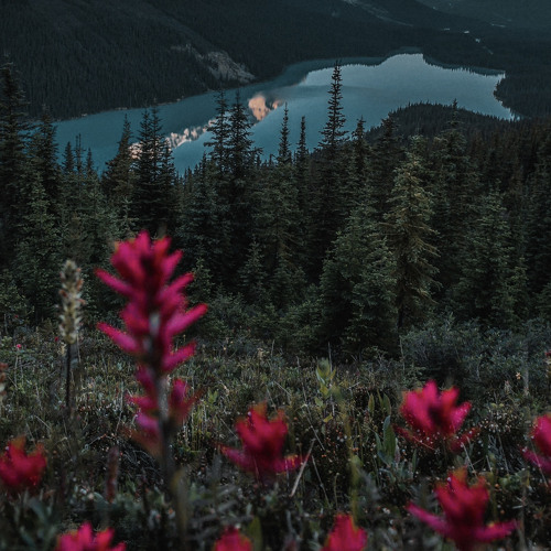 Нэнси - Как любил я тебя