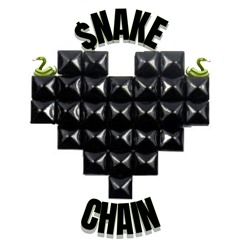 $NAKE CHAIN