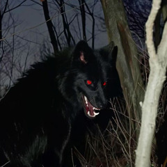 howling (first vers)