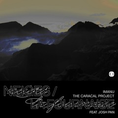 IMANU & The Caracal Project ft.josh pan (Severe Fracture Remix)
