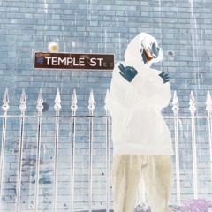 TEMPLE FREESTYLE [prod. taylor morgan + shinju]
