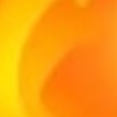 2025 BERMUDA HITS 🤯