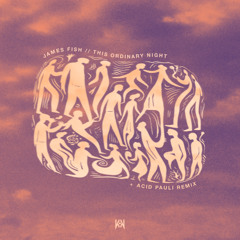 James Fish - This Ordinary Night (Acid Pauli Remix)