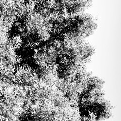 Never Quit (prod by. Musikal)