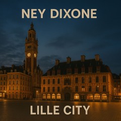 lille city