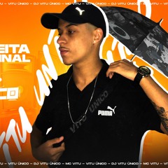 CATUCADA NA TUA TCHECA - TODA HORA ELA FALA PRA MIM - MC GW (DJ VITU ÚNICO)