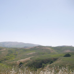 pacific