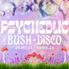 Psychedelic Bush Disco 31/03/24 - Lohan