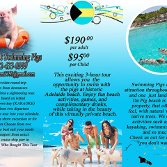 J & S TOURS & SWIMMING PIGS PROMOTIONAL MIX