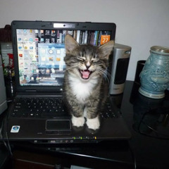 im so over myself (p.sickboi)