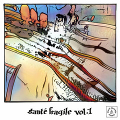 Santé Fragile, Vol. 1