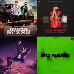 PUNJABI BANGER !!!