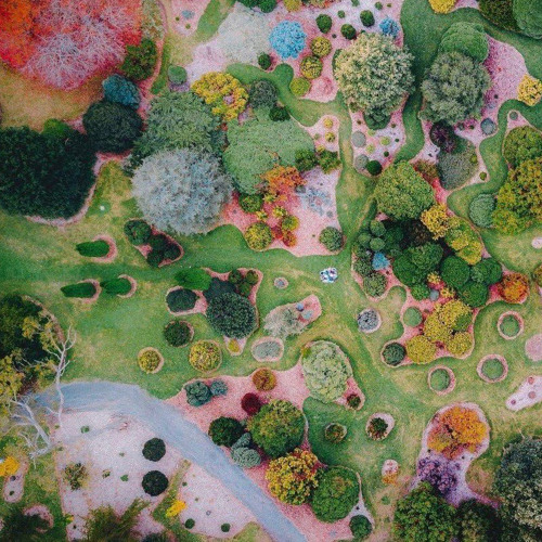 Stream his silly rabbit by thy forest | Listen online for free on ...