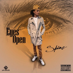 Since The Beginning - SFspinz.mp3