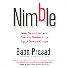 ACCESS EPUB 📧 Nimble: Make Yourself and Your Company Resilient in the Age of Constan