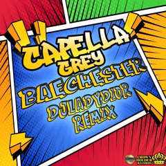 Capella Grey - Baechester (DJ LADY DIOR REMIX)