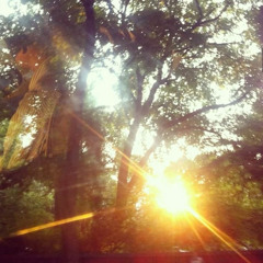 let me in (p. 7sighs)