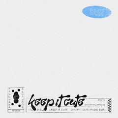 Audioflex & snoritz – Keep It Cute [PANR005] EP Snippets