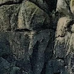 caryatid