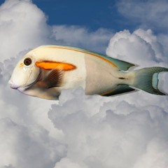 Cloudfisher