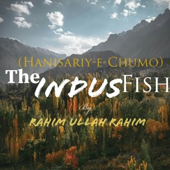 The_Indus_Fish_-_Hanisariy-e-Chumo_-_By_-_Rahim_Ullah_Rahim