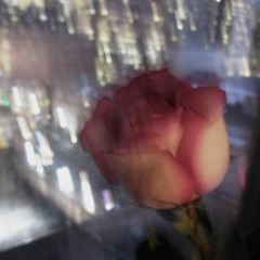 ɪ ᴡᴀɴᴛᴇᴅ ᴛᴏ