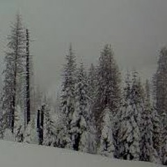WINTERS MINE