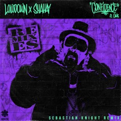 Lowdown & Shahay - Confidence ft. Owie (Sebastian Knight Remix)