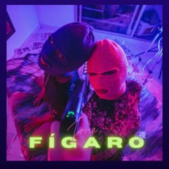 Jóven Fígaro.m4a