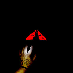 bedbug ft. soluuss & kilo