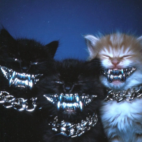 LIL TRACY X SOWHATIMDEAD X SHMAXWELL - RACKS!