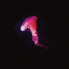 Abyss