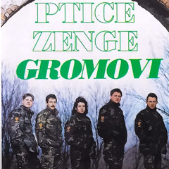 Ptice Zenge Gromovi - Tigrovi i Gromovi