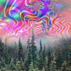Take a trip to the forest to lose your mind and find your soul