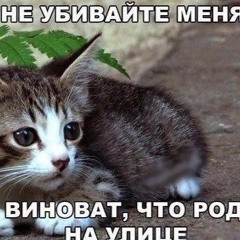 Киса Киса Мяу Мяу (slowed+reverb)