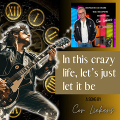 In this crazy life, let’s just let it be