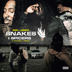 Snakes & Spicers (feat. DayDeez, 23peezy)