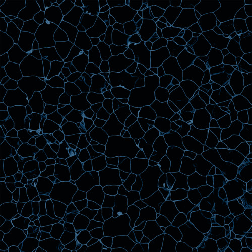 PREMIERE: Pannotia - 'Cell' [Pure Space]